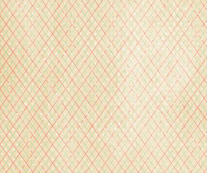 Katrina 5X42 Fleece ( 60 X 50 Inch ) Backdrop