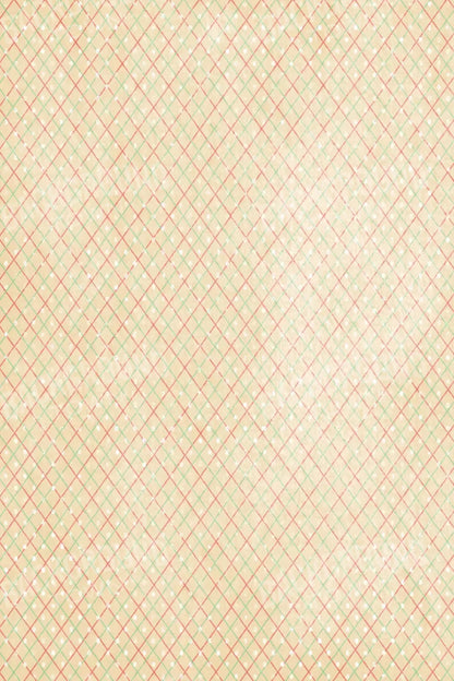 Katrina 5X8 Ultracloth ( 60 X 96 Inch ) Backdrop