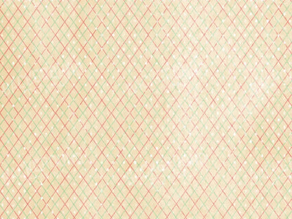 Katrina 68X5 Fleece ( 80 X 60 Inch ) Backdrop