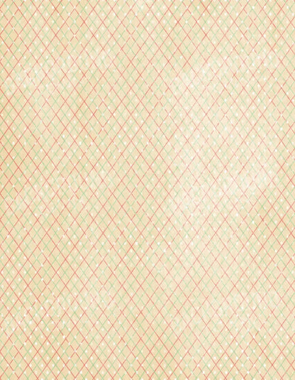 Katrina 6X8 Fleece ( 72 X 96 Inch ) Backdrop