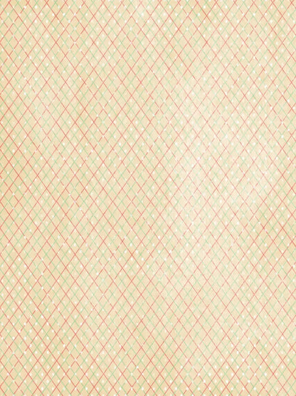 Katrina 8X10 Fleece ( 96 X 120 Inch ) Backdrop