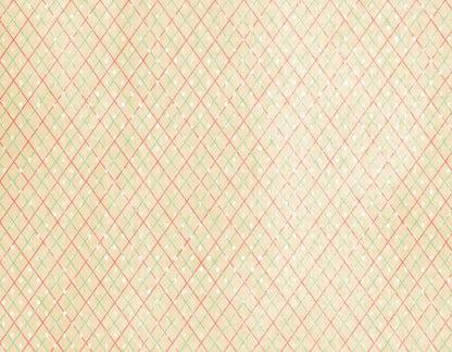 Katrina 8X6 Fleece ( 96 X 72 Inch ) Backdrop