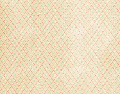 Katrina 8X6 Fleece ( 96 X 72 Inch ) Backdrop