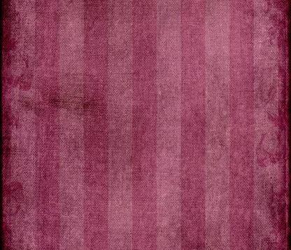 Kay 12X10 Ultracloth ( 144 X 120 Inch ) Backdrop