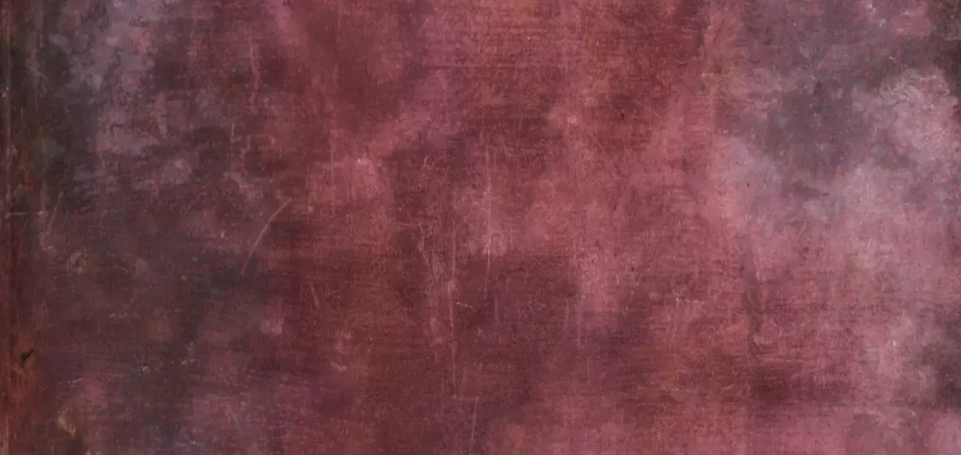 Kendall 16’X8’ Ultracloth (192 X 96 Inch) Backdrop