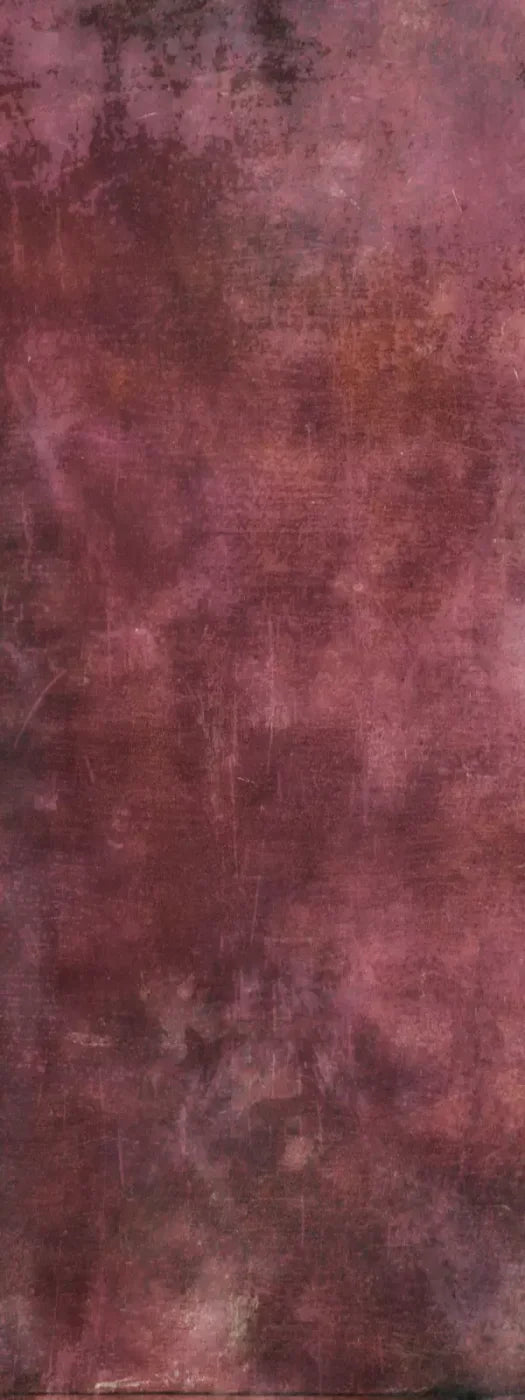 Kendall 8’X20’ Ultracloth (96 X 240 Inch) Backdrop