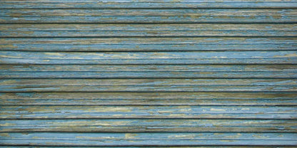 Kenneth 20X10 Ultracloth ( 240 X 120 Inch ) Backdrop