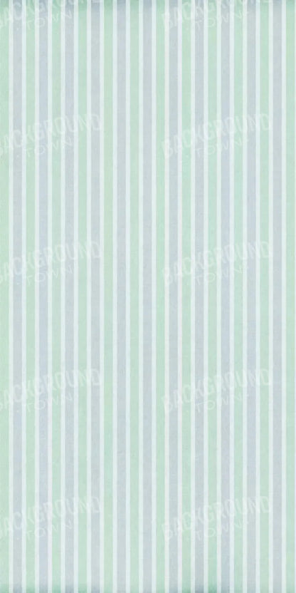 Kenny 10X20 Ultracloth ( 120 X 240 Inch ) Backdrop