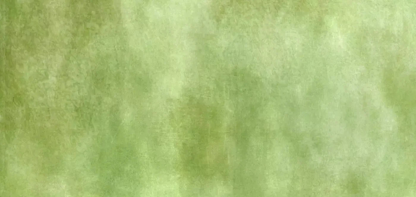 Key Lime 16X8 Ultracloth ( 192 X 96 Inch ) Backdrop