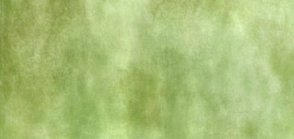 Key Lime 16X8 Ultracloth ( 192 X 96 Inch ) Backdrop