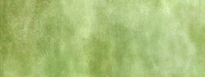 Key Lime 20X8 Ultracloth ( 240 X 96 Inch ) Backdrop