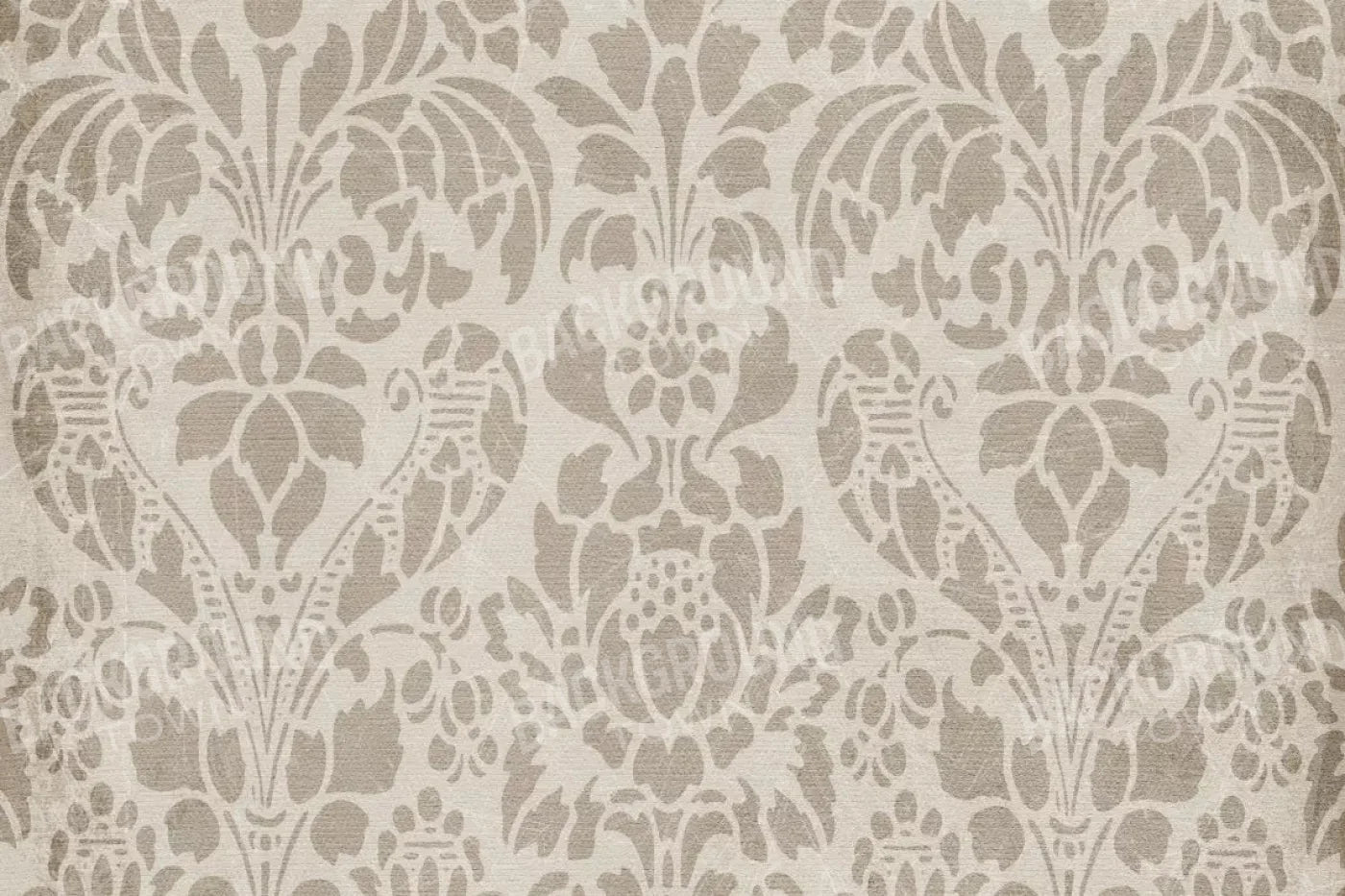 Kingsley 8X5 Ultracloth ( 96 X 60 Inch ) Backdrop