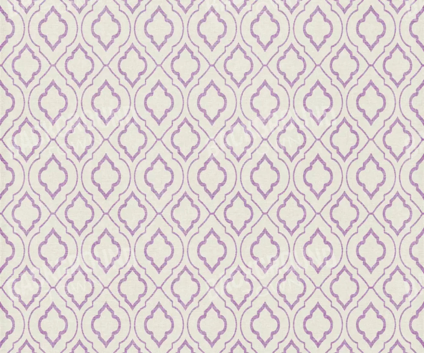 Kirsten 5X42 Fleece ( 60 X 50 Inch ) Backdrop