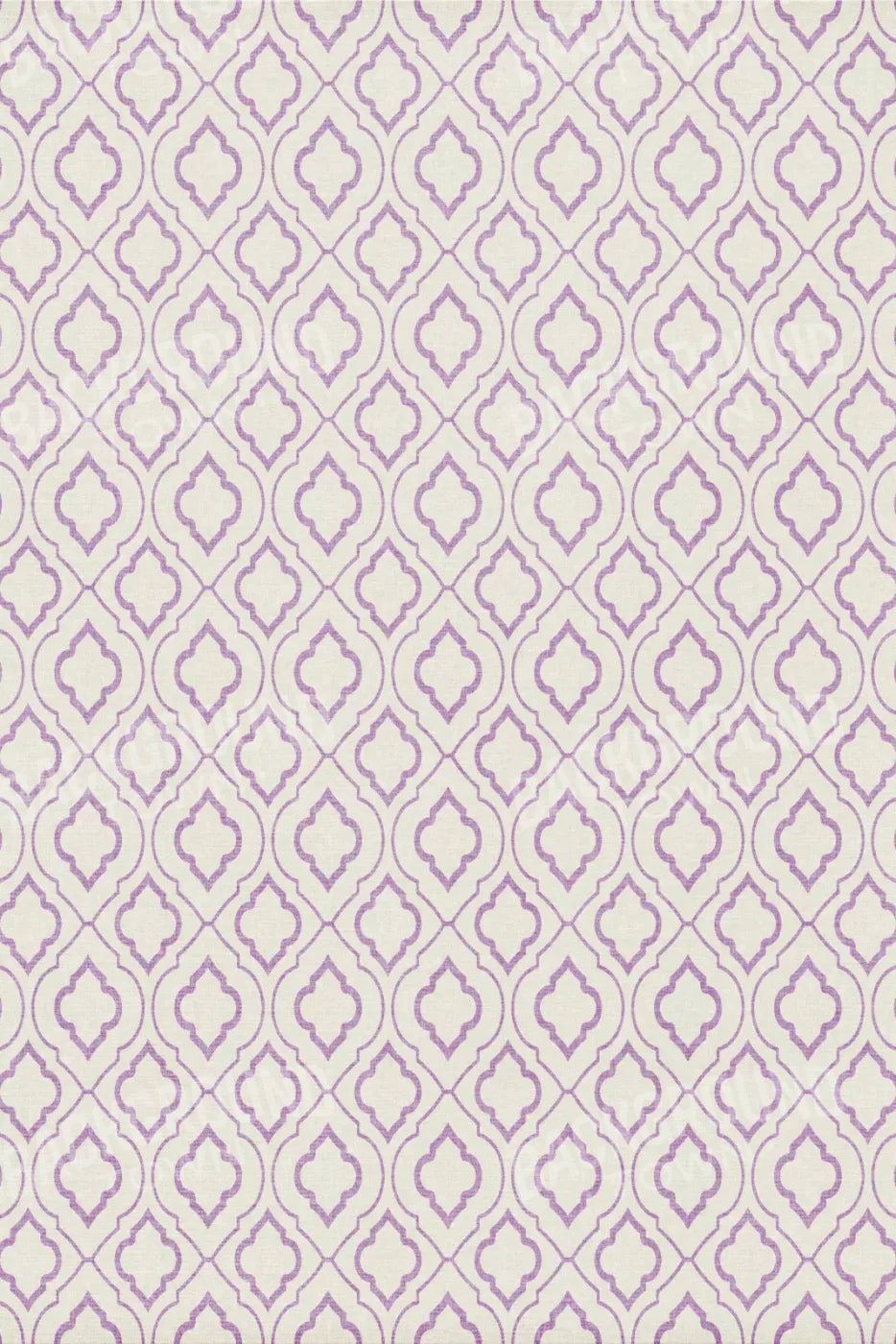Kirsten 5X8 Ultracloth ( 60 X 96 Inch ) Backdrop