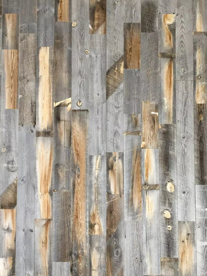 Knoxville 5X68 Fleece ( 60 X 80 Inch ) Backdrop