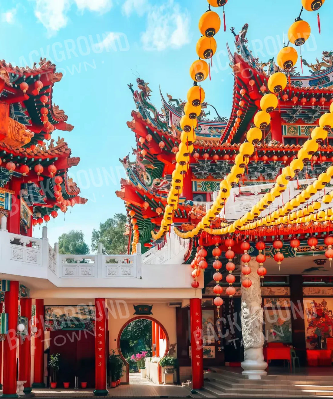 Multi-Color  Backdrop for Photography