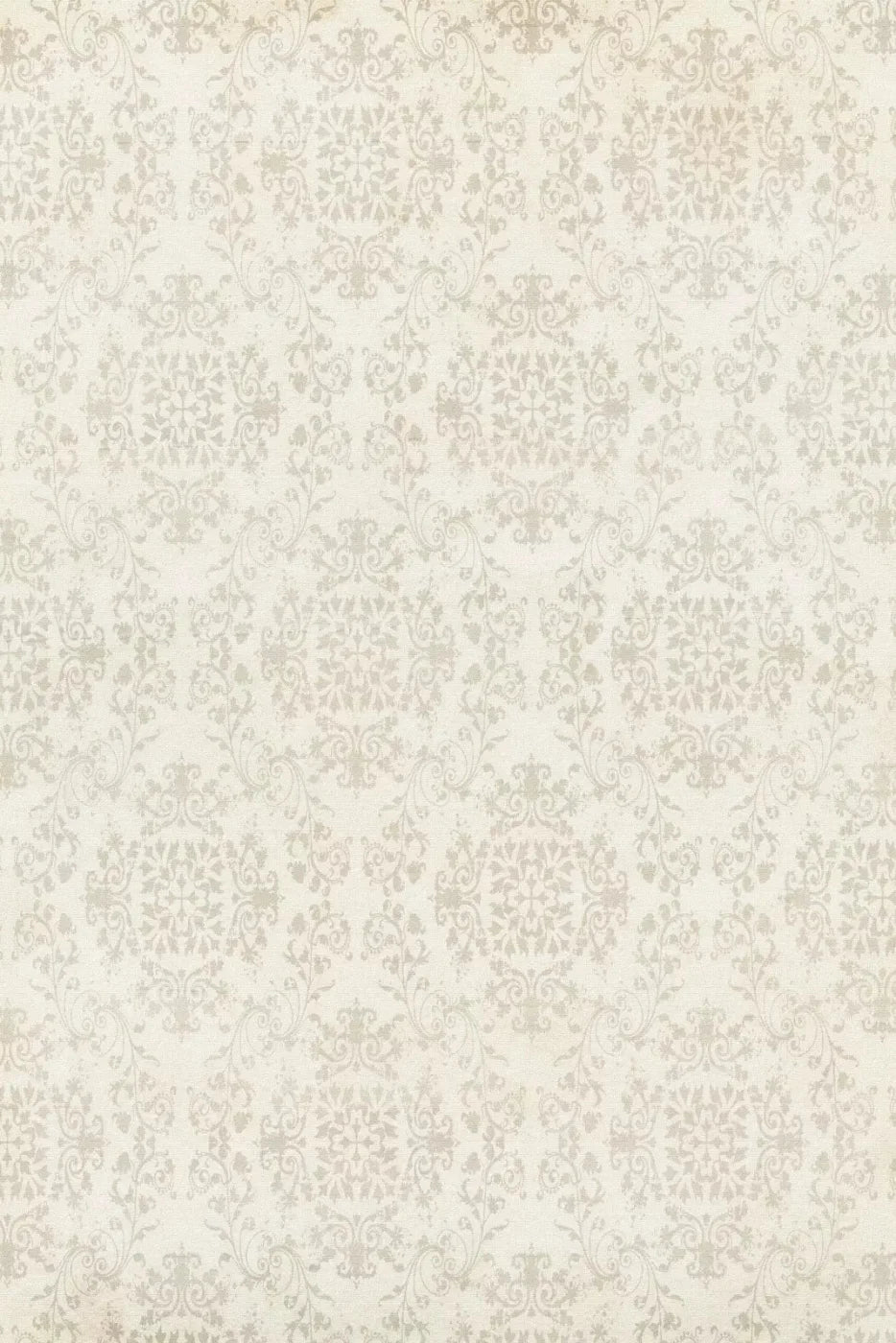 Lacie Backdrop