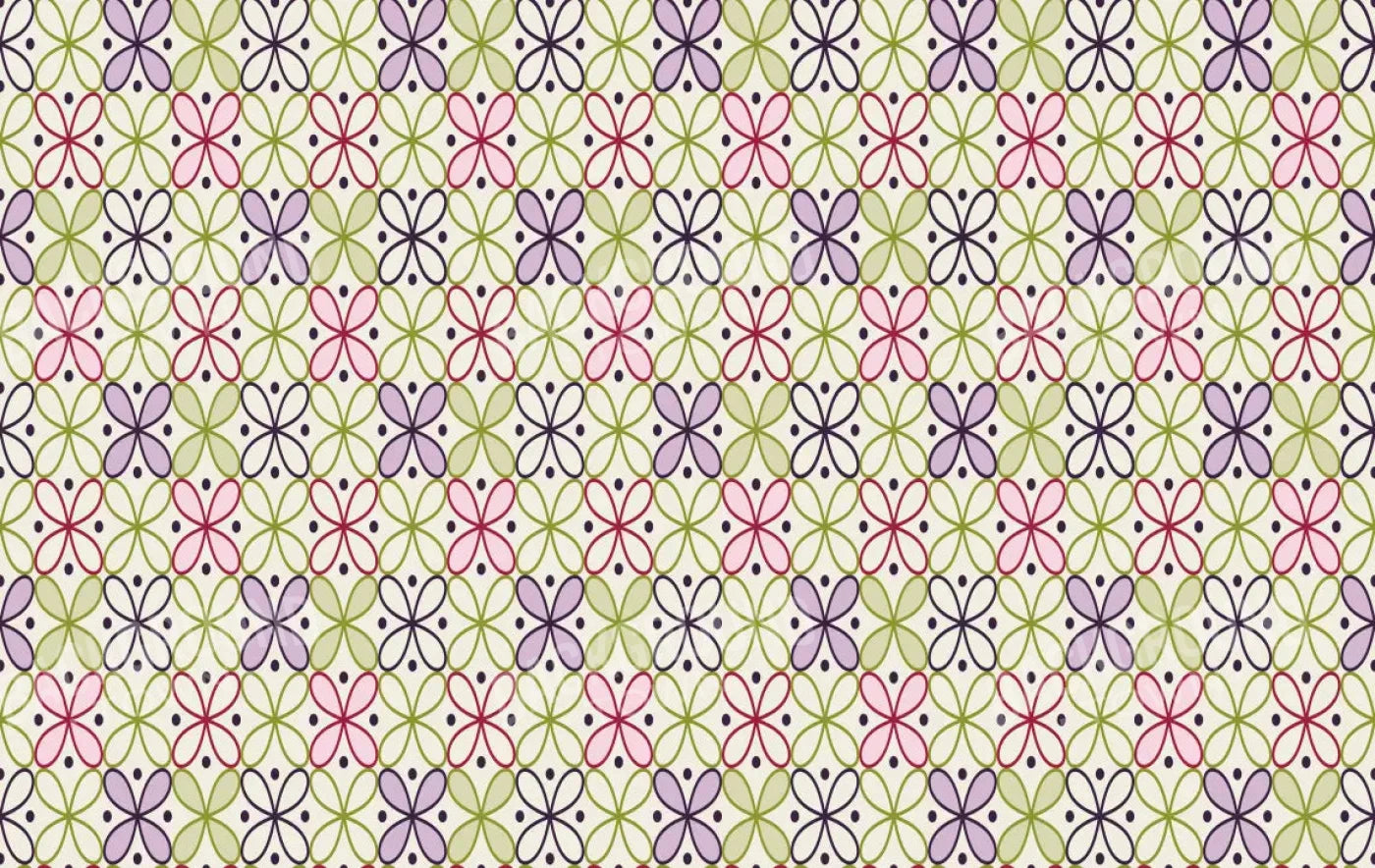 Ladia 16X10 Ultracloth ( 192 X 120 Inch ) Backdrop