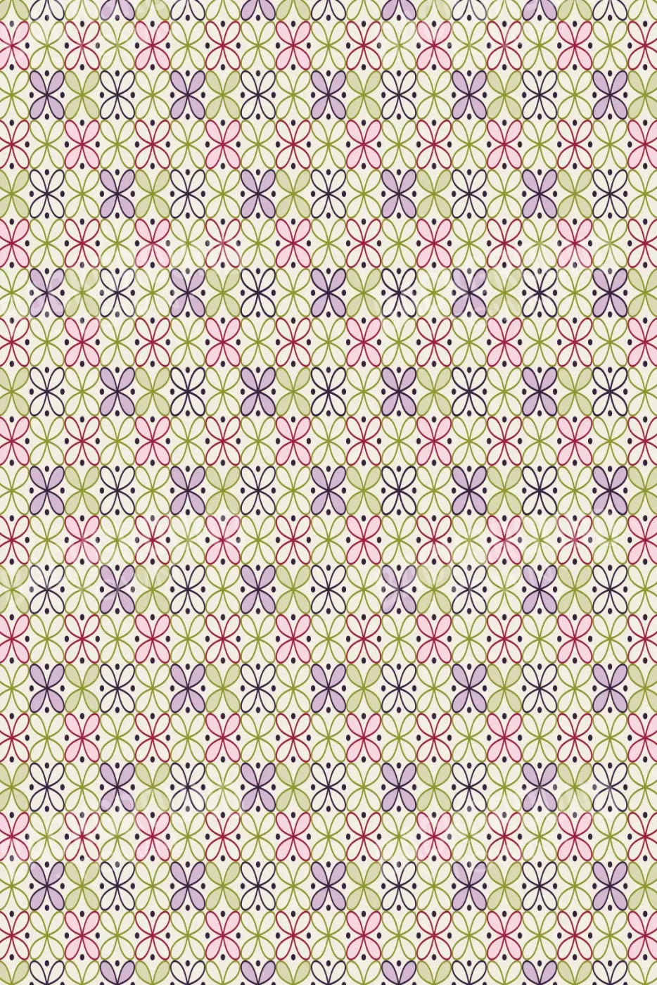 Ladia 5X8 Ultracloth ( 60 X 96 Inch ) Backdrop