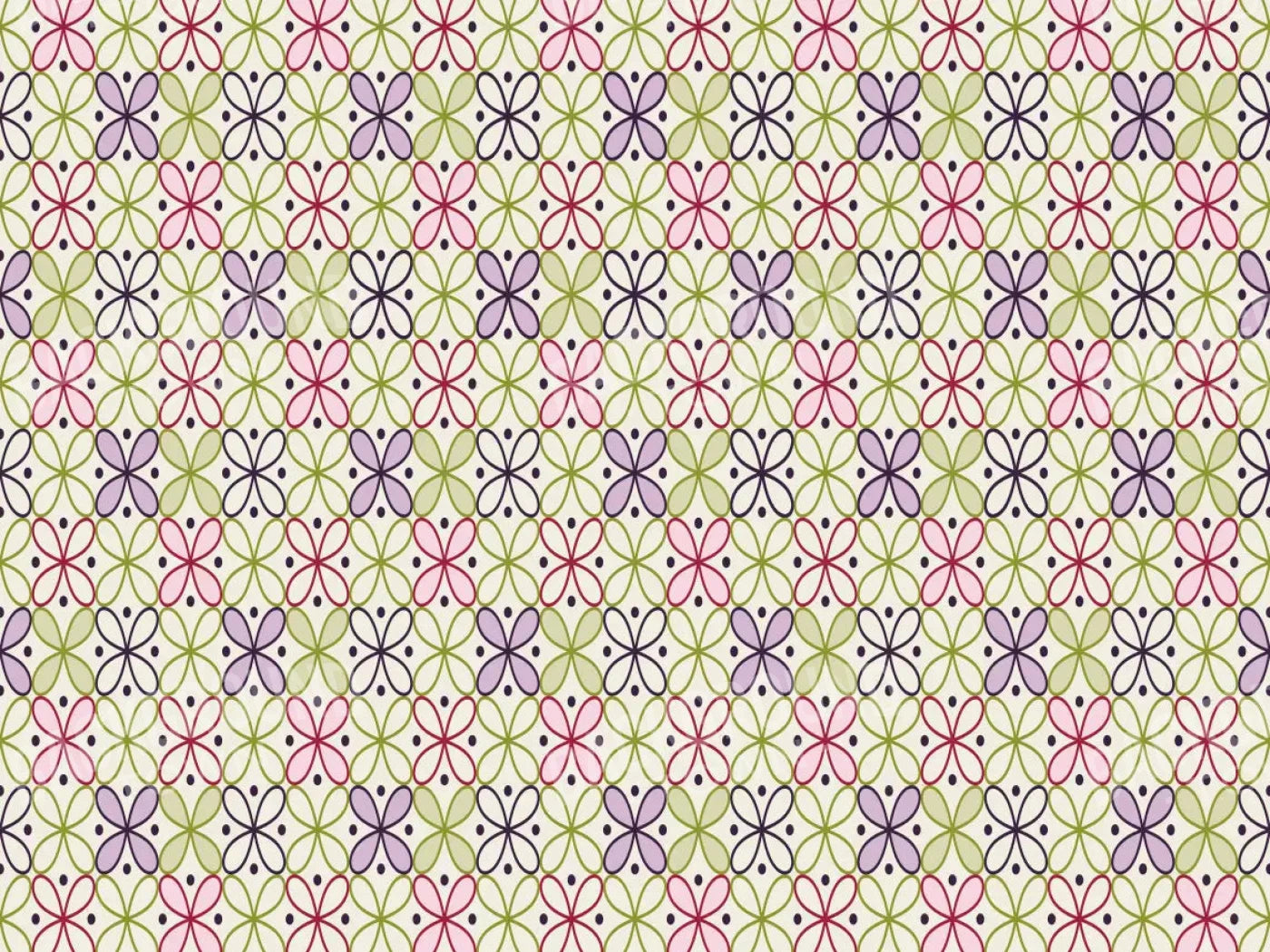 Ladia 68X5 Fleece ( 80 X 60 Inch ) Backdrop