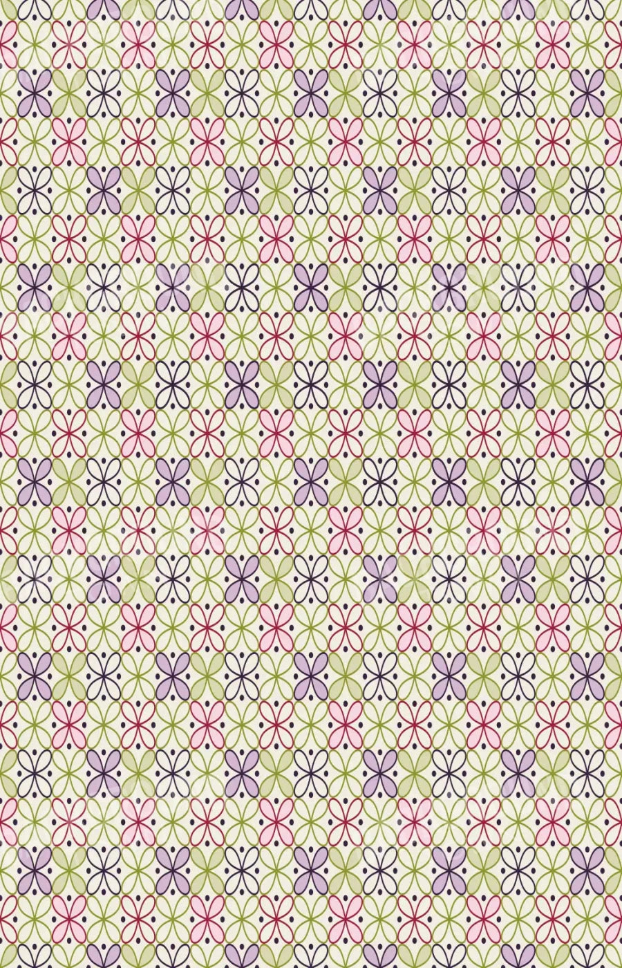 Ladia 8X12 Ultracloth ( 96 X 144 Inch ) Backdrop