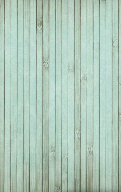 Lakeside 10X16 Ultracloth ( 120 X 192 Inch ) Backdrop
