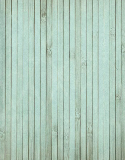Lakeside 6X8 Fleece ( 72 X 96 Inch ) Backdrop
