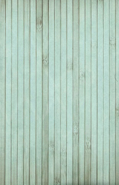 Lakeside 8X12 Ultracloth ( 96 X 144 Inch ) Backdrop