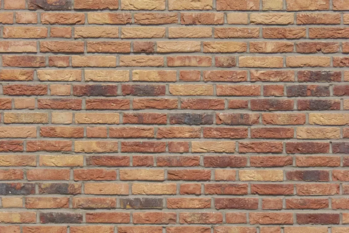 Lane Backdrop