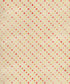 Beige Pattern Backdrop for Photography