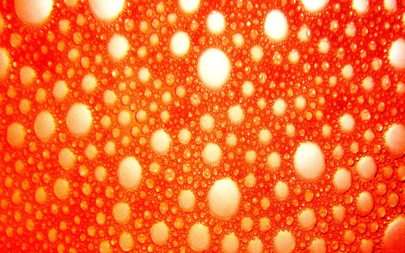 Lava Bubbles 14X9 Ultracloth ( 168 X 108 Inch ) Backdrop