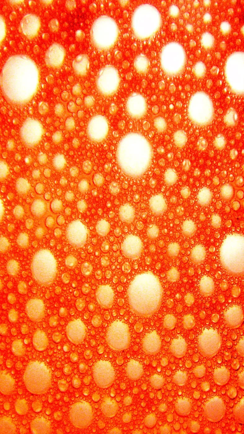 Lava Bubbles 8X14 Ultracloth ( 96 X 168 Inch ) Backdrop