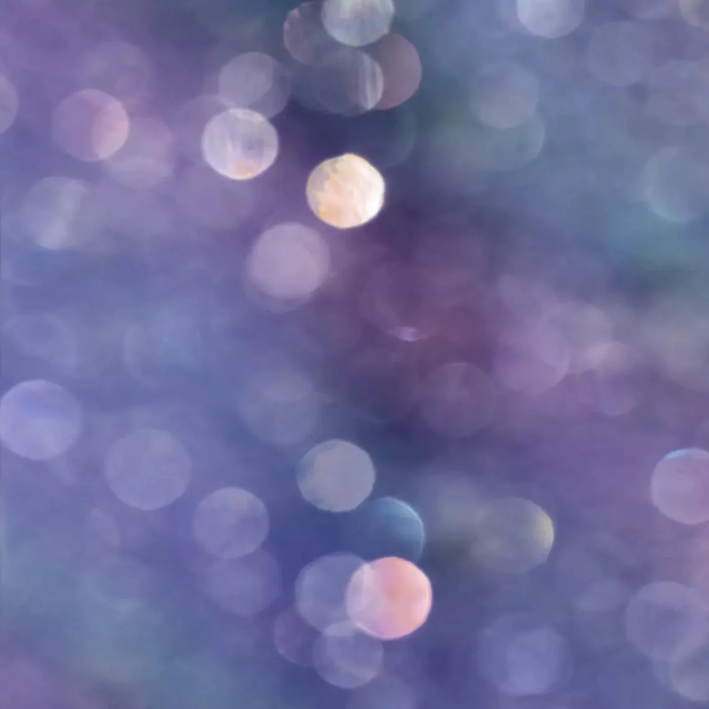 Lavender Dreams Backdrop