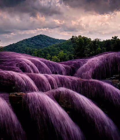 Lavendar Falls 10X12 Ultracloth ( 120 X 144 Inch ) Backdrop