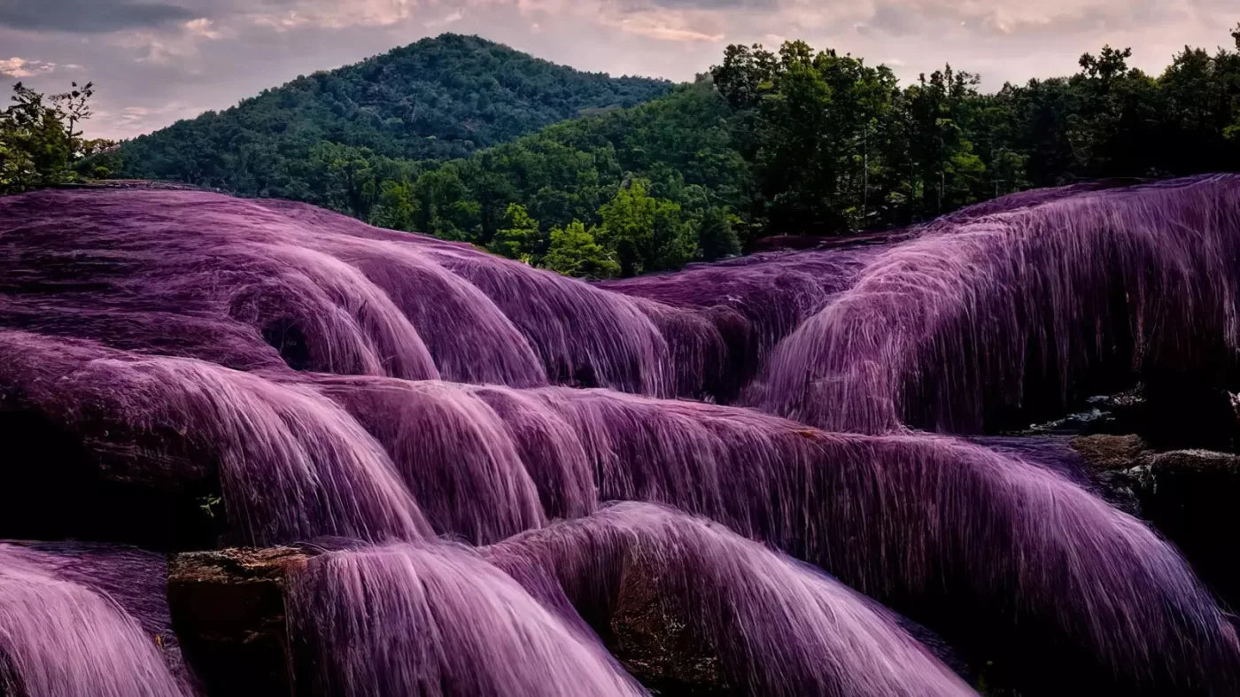 Lavendar Falls 14X8 Ultracloth ( 168 X 96 Inch ) Backdrop