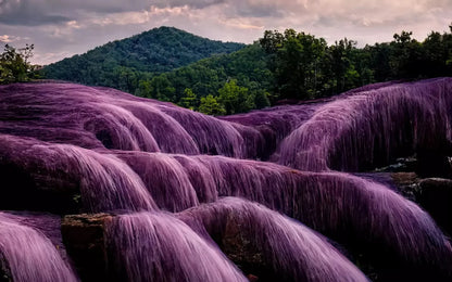 Lavendar Falls 14X9 Ultracloth ( 168 X 108 Inch ) Backdrop