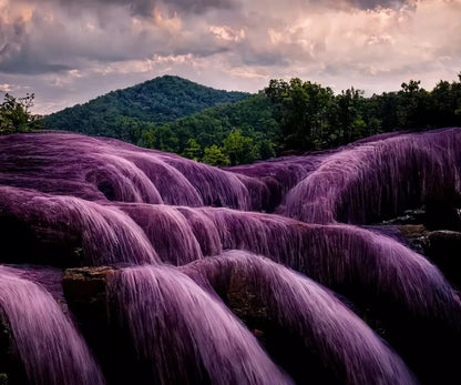 Lavendar Falls 5X42 Fleece ( 60 X 50 Inch ) Backdrop