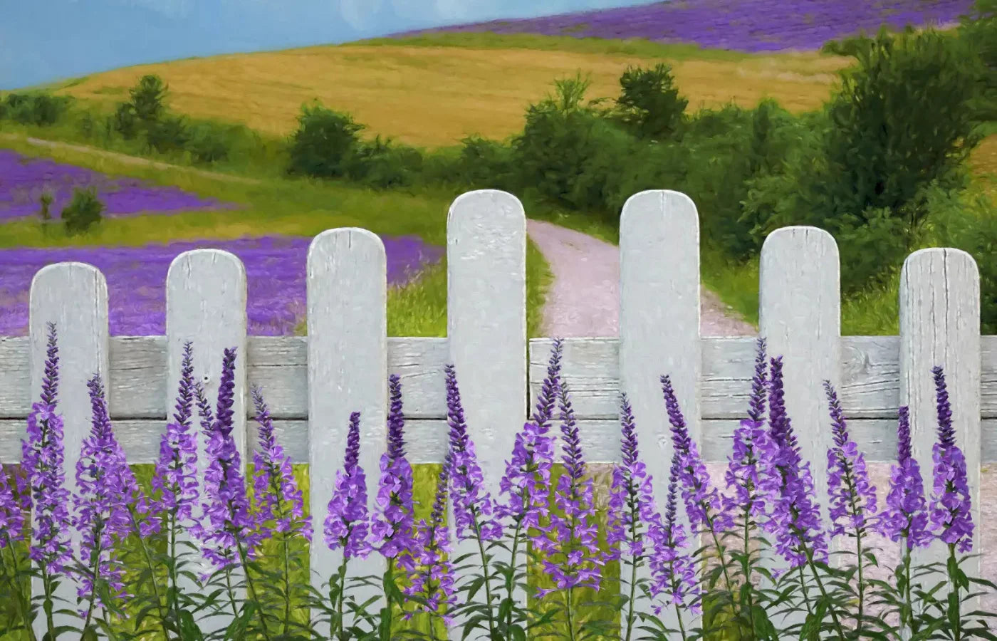 Lavender Fields 12X8 Ultracloth ( 144 X 96 Inch ) Backdrop