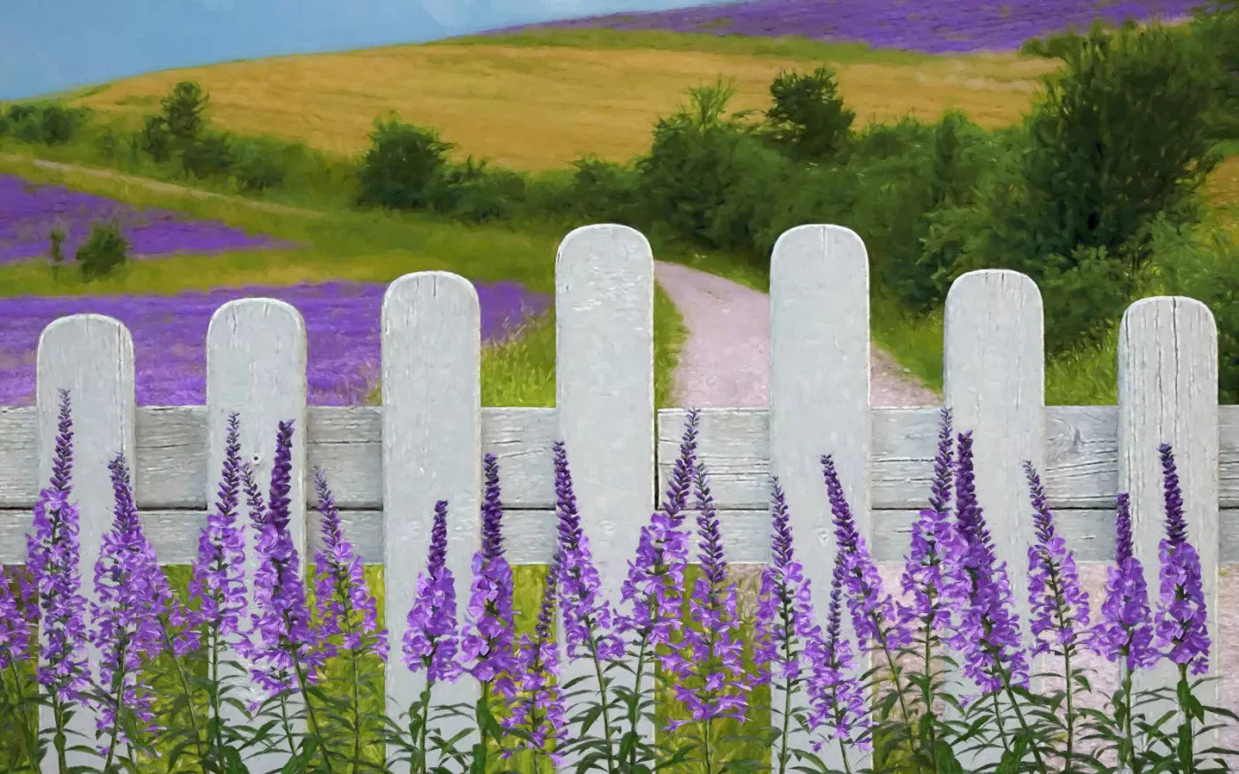 Lavender Fields 14X9 Ultracloth ( 168 X 108 Inch ) Backdrop