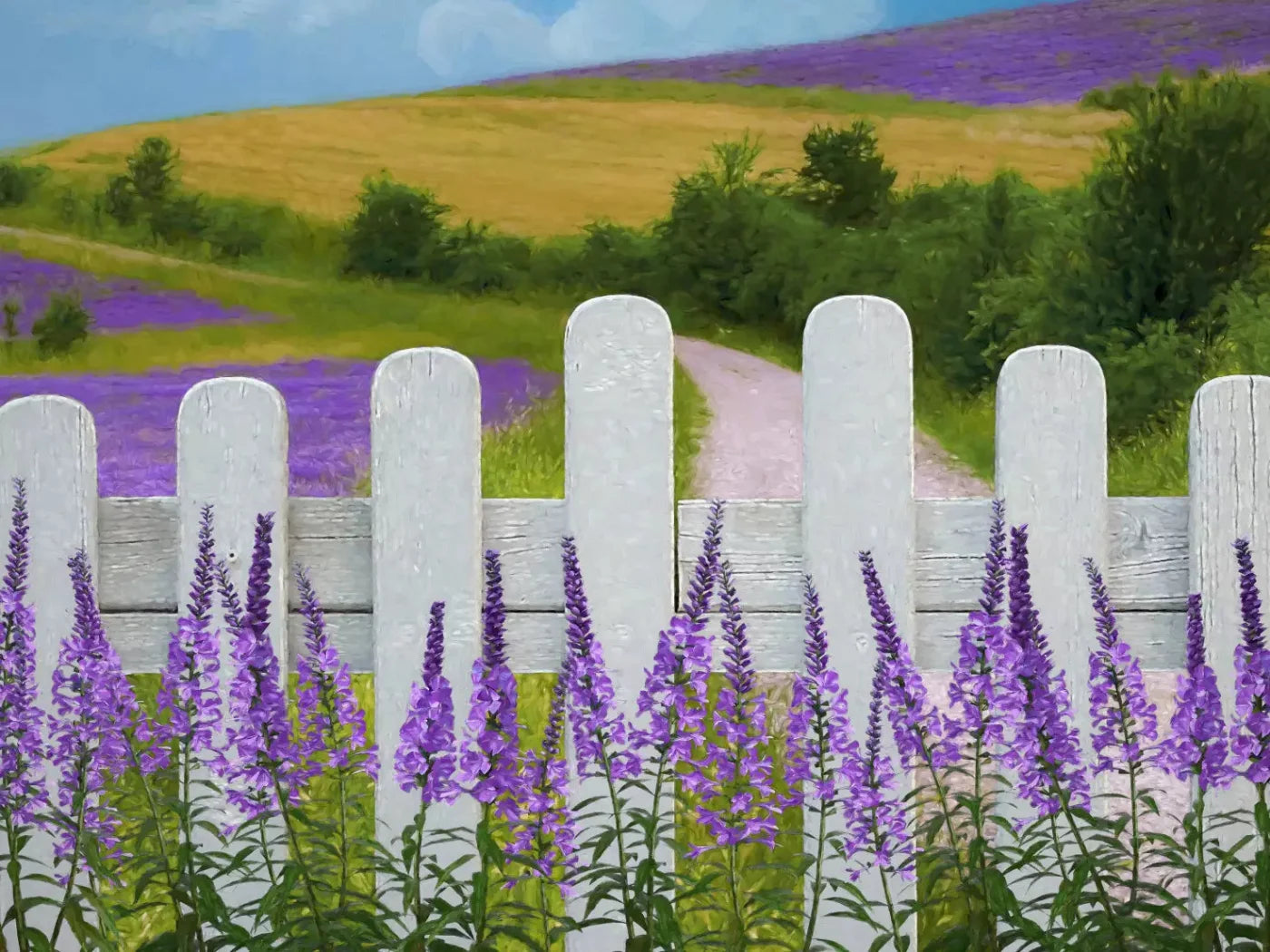 Lavender Fields 7X5 Ultracloth ( 84 X 60 Inch ) Backdrop