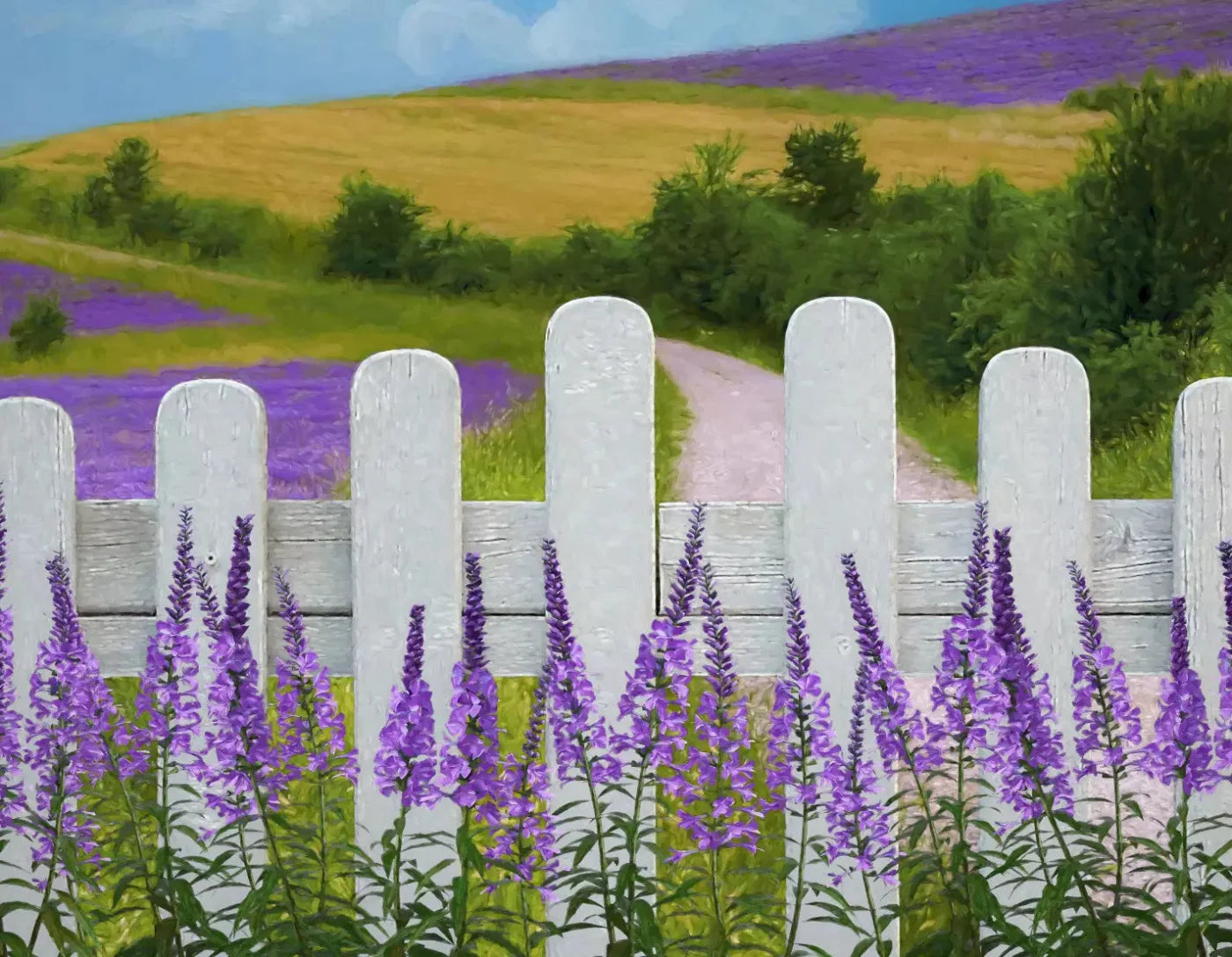 Lavender Fields 8X6 Fleece ( 96 X 72 Inch ) Backdrop