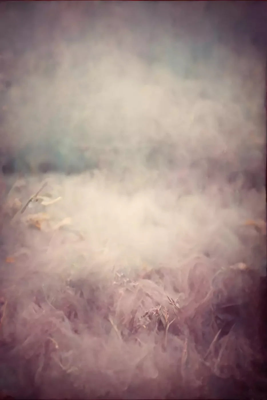 Lavender Fog Backdrop