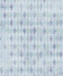 Blue Pattern Backdrop for Photography