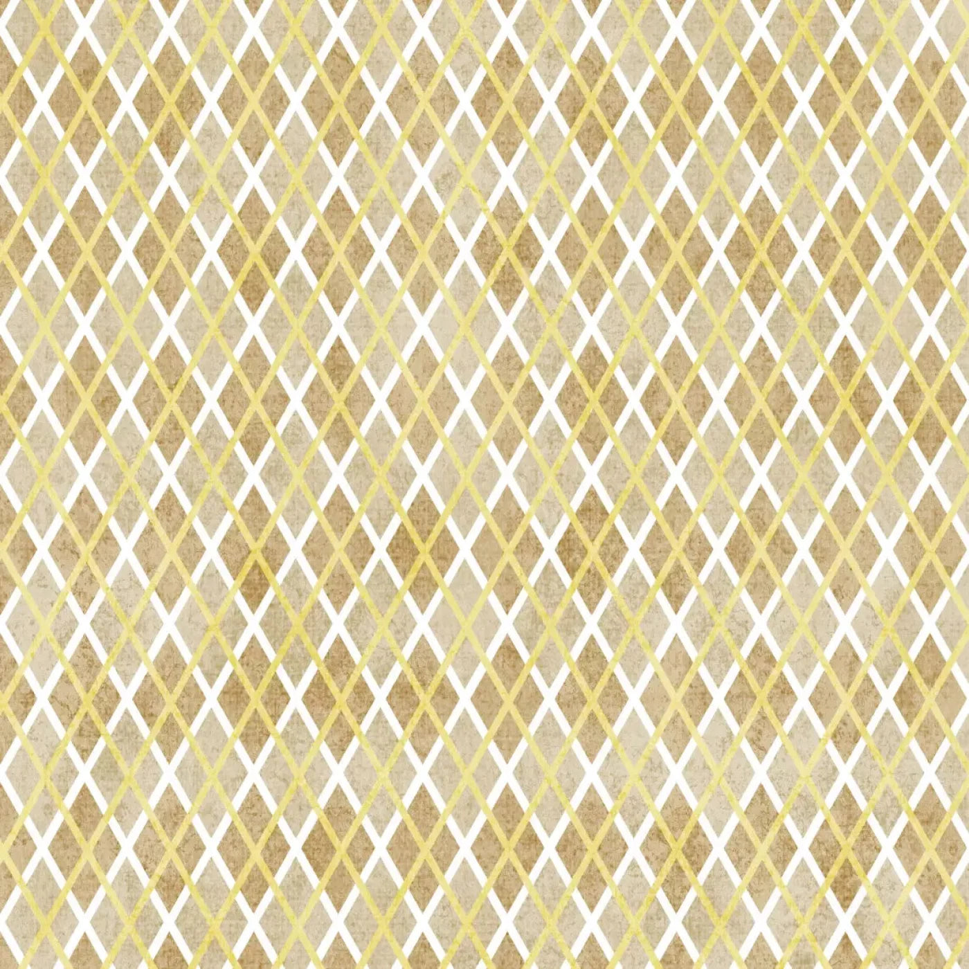 Lee 10X10 Ultracloth ( 120 X Inch ) Backdrop