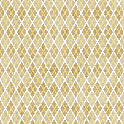Lee 10X10 Ultracloth ( 120 X Inch ) Backdrop