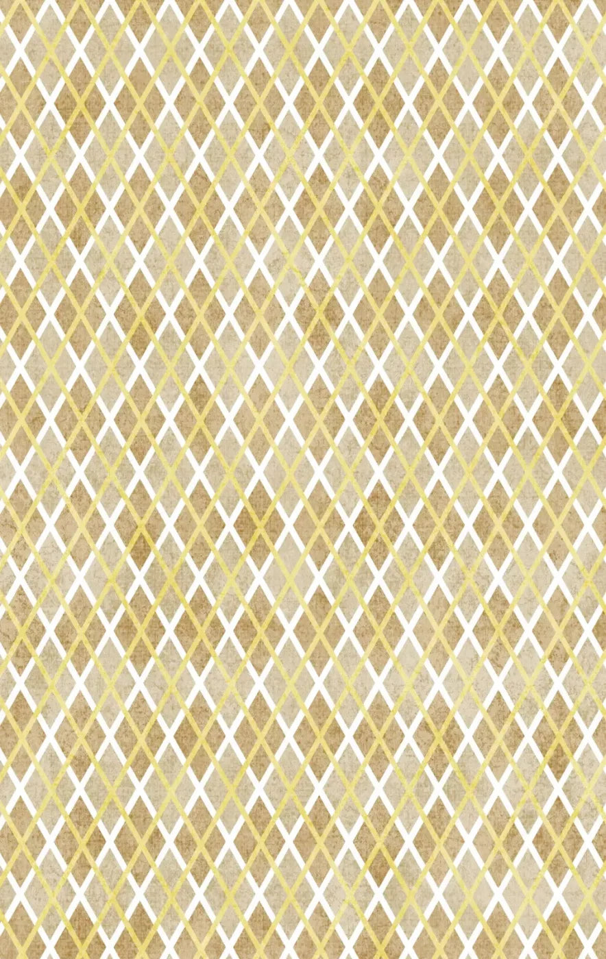 Lee 10X16 Ultracloth ( 120 X 192 Inch ) Backdrop