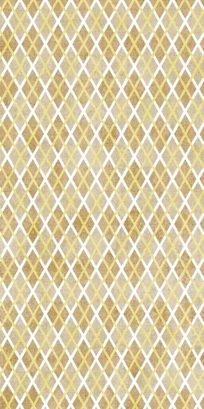 Lee 10X20 Ultracloth ( 120 X 240 Inch ) Backdrop