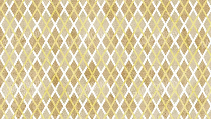 Lee 14X8 Ultracloth ( 168 X 96 Inch ) Backdrop