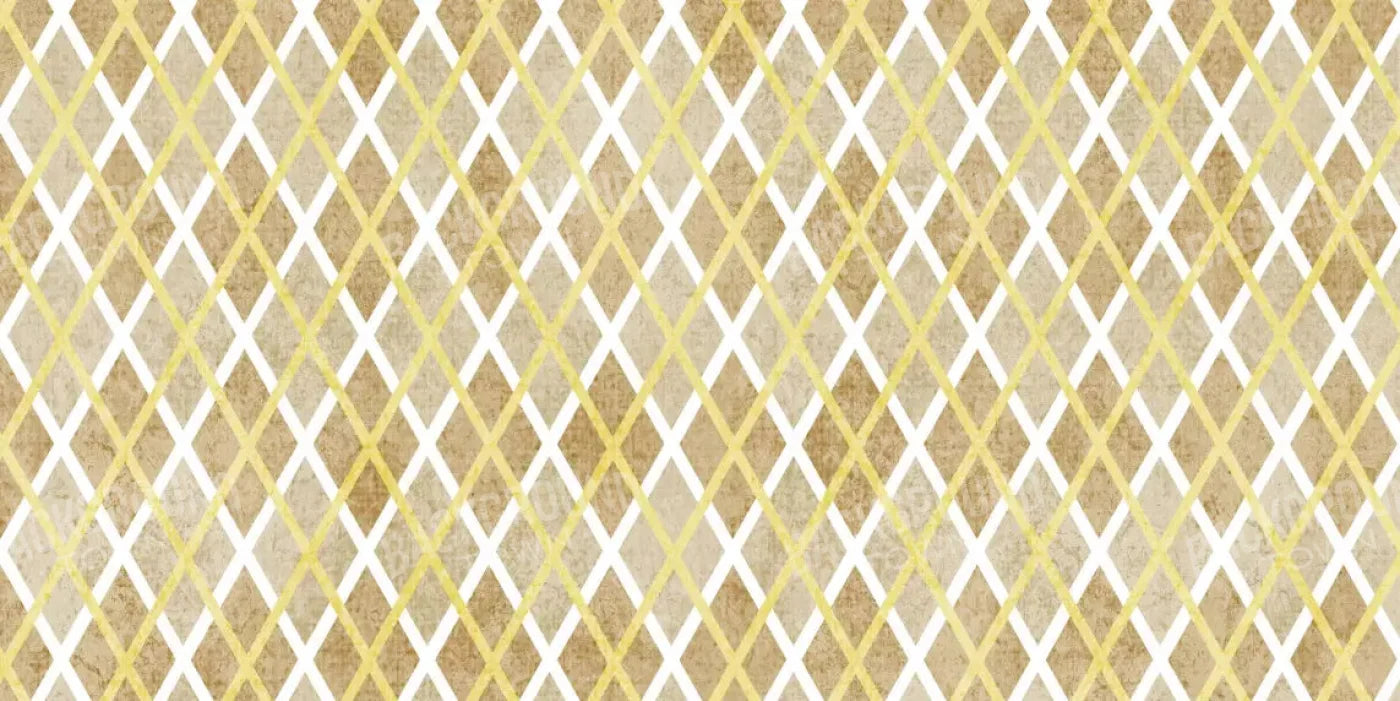 Lee 20X10 Ultracloth ( 240 X 120 Inch ) Backdrop