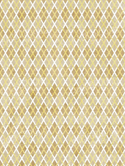 Lee 5X68 Fleece ( 60 X 80 Inch ) Backdrop